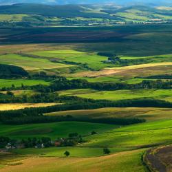 柯克纽顿 3家酒店