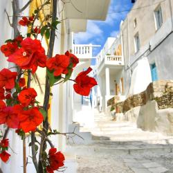 格拉斯托斯 13家酒店