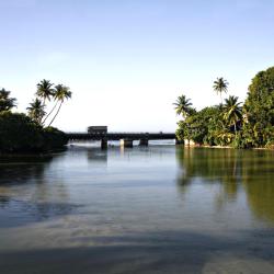 基图尔格勒 43家酒店