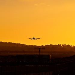 英格里斯顿 6家酒店