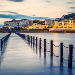 滨海韦斯顿 101家酒店