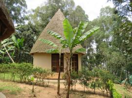 Itambira Island, Seeds of Hope
