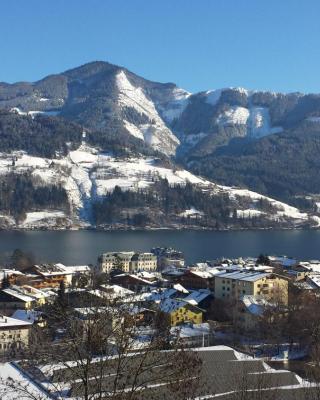 austrian alps 公寓,别墅及其他度假住宿真实客人点评