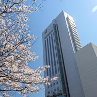 高知县10大酒店推荐 日本高知县住宿