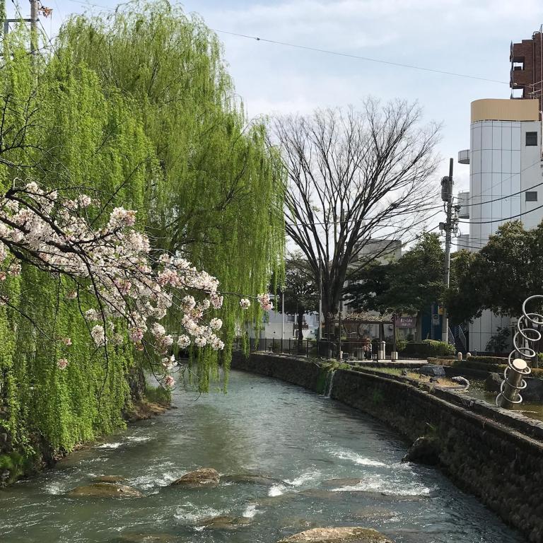 日本 北关东  群马县  前桥市的酒店  hotel greengarden (经济型酒店