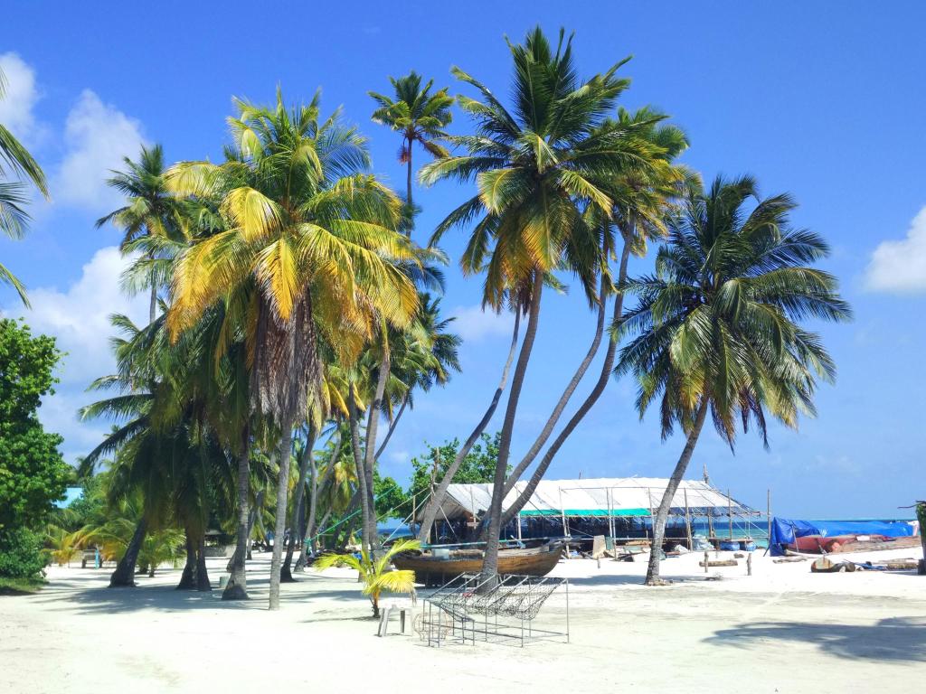Booking Com Villa Rosa Maldives Booking Com Villa Rosa Maldives