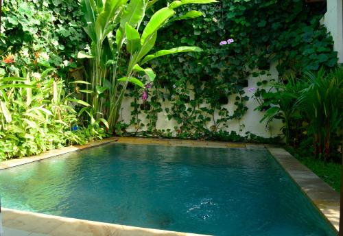 Villa Anggrek