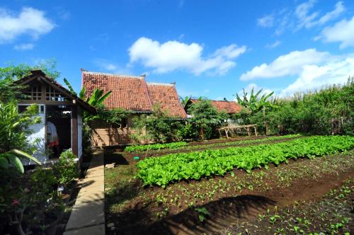 Nini pondok