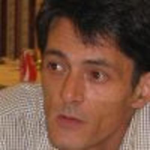 Niksa Samardzic