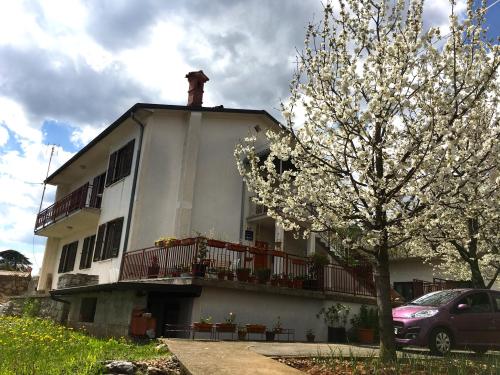Apartman Lucija