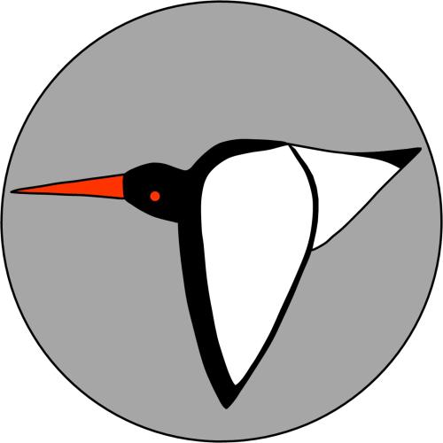 Oystercatcher